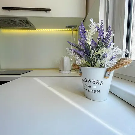 Apartament Downtown Heaven Belgrad